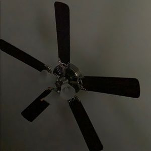 Meet your Posher, Sandy